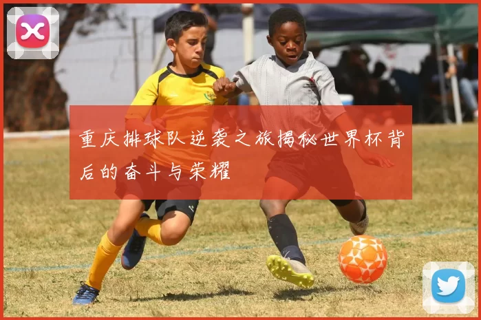 重庆排球队逆袭之旅揭秘世界杯背后的奋斗与荣耀