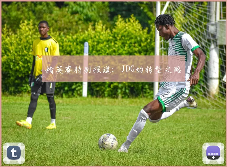 精英赛特别报道：JDG的转型之路