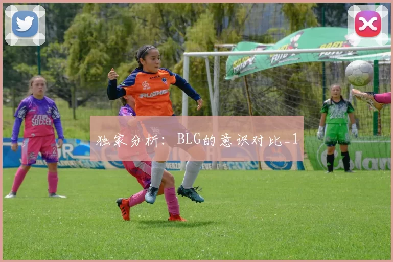 独家分析：BLG的意识对比_1