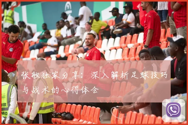 张敏独家分享：深入解析足球技巧与战术的心得体会